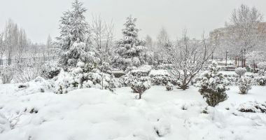 Stire din Social : Luna decembrie este caracterizată de ninsoare, viscol şi ceaţă