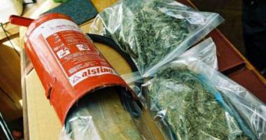 Stire din Actualitate : Bătrână de 86 de ani - dealer de canabis!