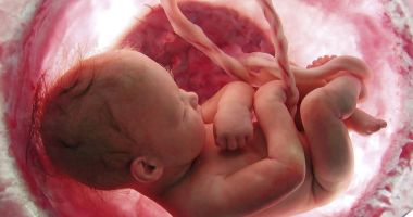 Stire din Sănătate : Cord Blood Center a eliberat 4 unități de sânge de cordon ombilical în cadrul primului studiu clinic pentru tratarea autismului cu celule stem în România
