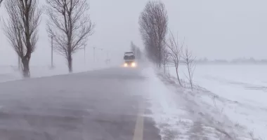 Stire din Social : ANM a emis un Cod Galben de vânt, ninsori viscolite și polei, în Dobrogea