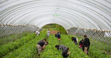 Stire din Social : Aproape 500 de locuri de muncă vacante în Spaţiul Economic European