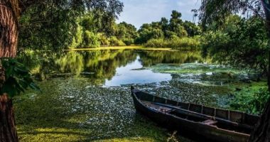 Stire din Actualitate : Garda de Mediu va fi restructurată. Rezervația Biosferei Delta Dunării va trece în subordinea Comisariatului Județean Tulcea