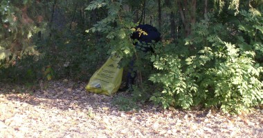 FOTO: Cum s-a implicat Jandarmeria Română în acțiunea "Let's do it Romania!" - 2