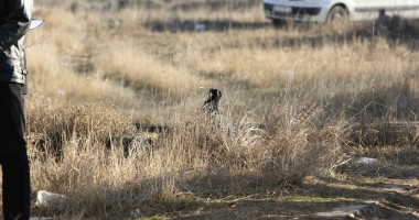 Imagini șocante / Bărbatul găsit mort în Constanța - 8