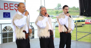 Galerie FOTO / Fiii satului Albești s-au reunit  la petrecerea organizată  de primarul Gheorghe Moldovan - 9