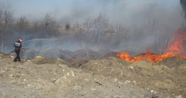 Stire din Eveniment : Șapte incendii la vegetație uscată numai în acest week-end!