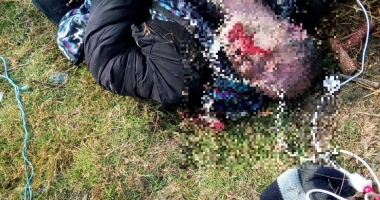 IMAGINI ȘOCANTE / TRAGEDIE ÎN JUDEȚUL CONSTANȚA. Un bărbat A MURIT după ce a căzut, ÎMPREUNĂ CU CALUL SĂU, într-un canal - 2