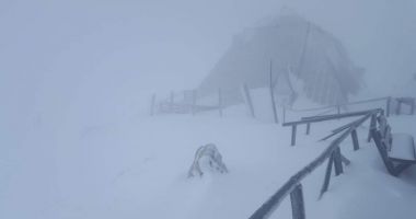 Stire din Eveniment : Ninge de ore bune pe Transfăgărășan! Stratul de zăpadă depășește deja 10 centimetri