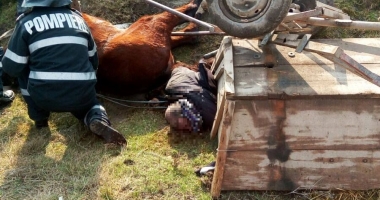 Stire din Eveniment : IMAGINI ȘOCANTE / TRAGEDIE ÎN JUDEȚUL CONSTANȚA. Un bărbat A MURIT după ce a căzut, ÎMPREUNĂ CU CALUL SĂU, într-un canal