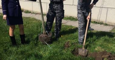Polițiștii constănțeni au plantat pomi de Ziua Internațională a Pădurilor - 2
