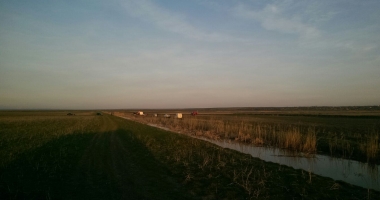 Bărbat găsit înecat într-un canal din comuna Ciobanu / GALERIE FOTO - 3