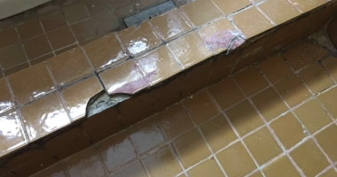 Imagini șocante. Ce mizerii au găsit comisarii OPC în bucătăriile din mai multe terase din Mamaia - 2
