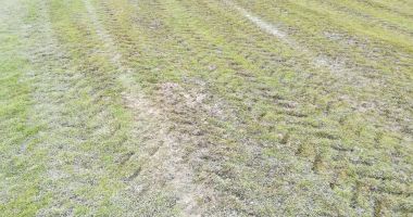 Ajunși la Slobozia, jucătorii de la SSC Farul au avut parte de o surpriză neplăcută. "Au băgat utilajele" - 3