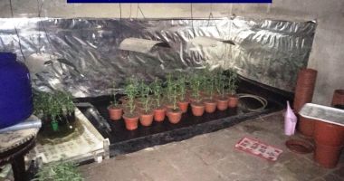 MEGA-ANCHETĂ într-un dosar de trafic de droguri. Peste 50 de persoane audiate - 2