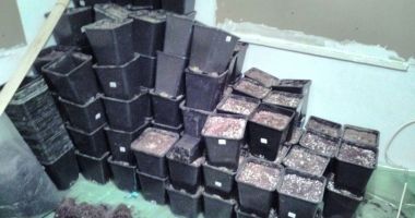 MEGA-ANCHETĂ într-un dosar de trafic de droguri. Peste 50 de persoane audiate - 3