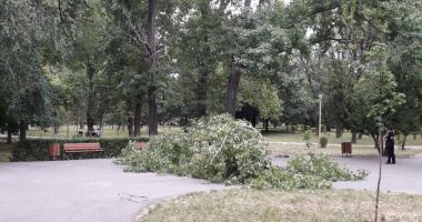PANICĂ ÎN PARCUL TĂBĂCARIEI. Copil la un pas să fie strivit de un copac căzut din senin ! - 4