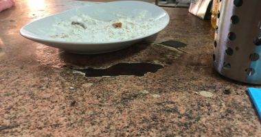 FOTO. Gândaci și produse expirate, găsite de OPC Constanța, în două locații cu același administrator - 4