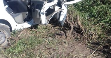 Galerie foto. Accident rutier, după ce un agent s-a izbit cu mașina de poliție într-un copac - 2