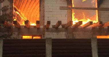 FOTO. Incendiu puternic, în această dimineață, în județul Constanța - 3