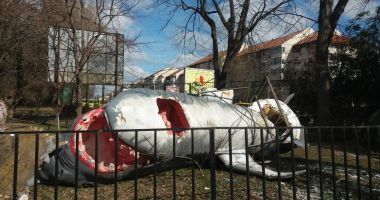 Marele rechin de la Delfinariu a fost pus la pământ de vremea rea!