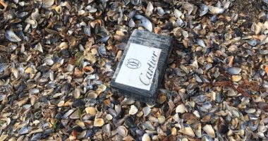 Alte pachete cu cocaină găsite pe litoral! Operațiunea de căutare, în deplină desfășurare - 7