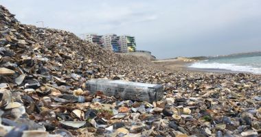 Alte pachete cu cocaină găsite pe litoral! Operațiunea de căutare, în deplină desfășurare - 4