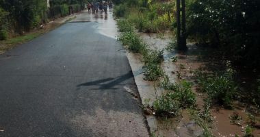 Rupere de nori în județul Constanța. Ploaia a făcut ravagii! - 3