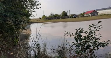 Rupere de nori în județul Constanța. Ploaia a făcut ravagii! - 2