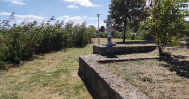 Dezastrul din Parcul Tăbăcărie: de la iarba uscată, la monumente distruse! - 9