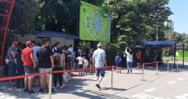 Galerie foto. Delfinariul Constanţa, luat cu asalt de micii sărbătoriţi! Intrarea este gratuită pentru copii, azi - 2