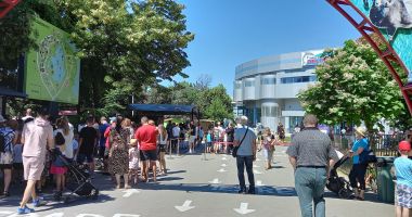 GALERIE FOTO. SPECTACOL CU SALA PLINĂ, la Delfinariul Constanţa! Are loc prima reprezentaţie cu şase delfini! - 4