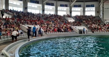 Stire din Social : GALERIE FOTO. SPECTACOL CU SALA PLINĂ, la Delfinariul Constanţa! Are loc prima reprezentaţie cu şase delfini!