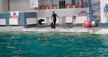 GALERIE FOTO. SPECTACOL CU SALA PLINĂ, la Delfinariul Constanţa! Are loc prima reprezentaţie cu şase delfini! - 6