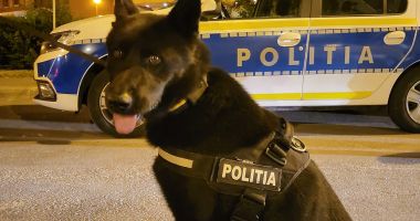 Acţiune de amploare la Constanţa, pe linia consumului de droguri şi alcool, la volan - 3
