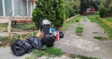 Constanța, sub imperiul gunoaielor. "Ne este groază că vom fi invadați de șobolani!" - 2