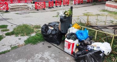Constanța, sub imperiul gunoaielor. "Ne este groază că vom fi invadați de șobolani!" - 3