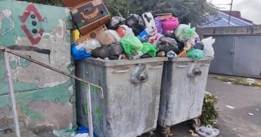 Constanța, sub imperiul gunoaielor. "Ne este groază că vom fi invadați de șobolani!" - 5
