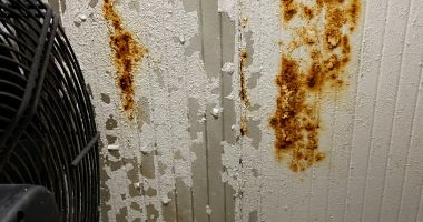 IMAGINI GREU DE PRIVIT! Restaurant din Constanţa, controlat de Protecţia Consumatorilor. ESTE JALE! - 2