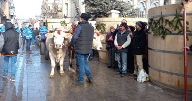FOTO. BOBOTEAZA LA CONSTANŢA. Mii de oameni împreună, pentru una dintre cele mai mari sărbători din an - 4