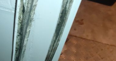 ATENŢIE, IMAGINI GREU DE PRIVIT! Restaurant din Costineşti, închis în urma controalelor! E jale ce au găsit comisarii OPC - 5
