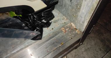 ATENŢIE, IMAGINI GREU DE PRIVIT! Restaurant din Costineşti, închis în urma controalelor! E jale ce au găsit comisarii OPC - 6
