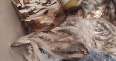 ATENŢIE, IMAGINI GREU DE PRIVIT! Restaurant din Costineşti, închis în urma controalelor! E jale ce au găsit comisarii OPC - 8