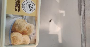 ATENŢIE, IMAGINI GREU DE PRIVIT! Restaurant din Costineşti, închis în urma controalelor! E jale ce au găsit comisarii OPC - 10