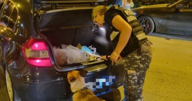Foto / Acțiune a polițiștilor rutieri, la Constanța! Zeci de șoferi trași pe dreapta - 3