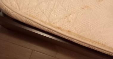 FOTO! Hotel din EFORIE, închis de Protecţia Consumatorilor, în urma unui control - 6