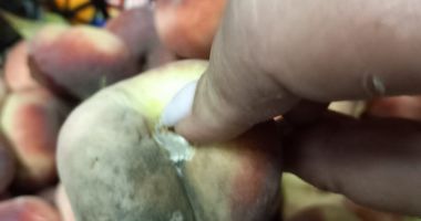 Galerie foto / Controale la firma care distribuie mâncare la Spitalul Judeţean Constanţa. Ce spune Protecţia Consumatorului - 3