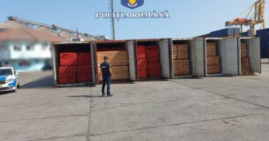 FOTO. Material lemnos, confiscat de polițiști! - 2