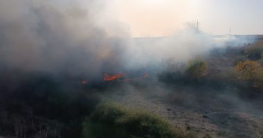 Stire din Eveniment : Incendiu de vegetație uscată, la Medgidia! Focul s-a extins la un adăpost de animale
