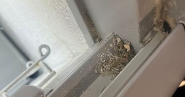 FOTO. Magazinele LIDL din Constanţa, controlate de Protecţia Consumatorilor. Marfă expirată, mizerie, promoţii false - 5