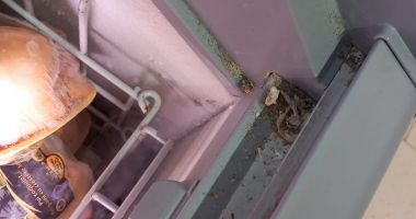 FOTO. Magazinele LIDL din Constanţa, controlate de Protecţia Consumatorilor. Marfă expirată, mizerie, promoţii false - 7